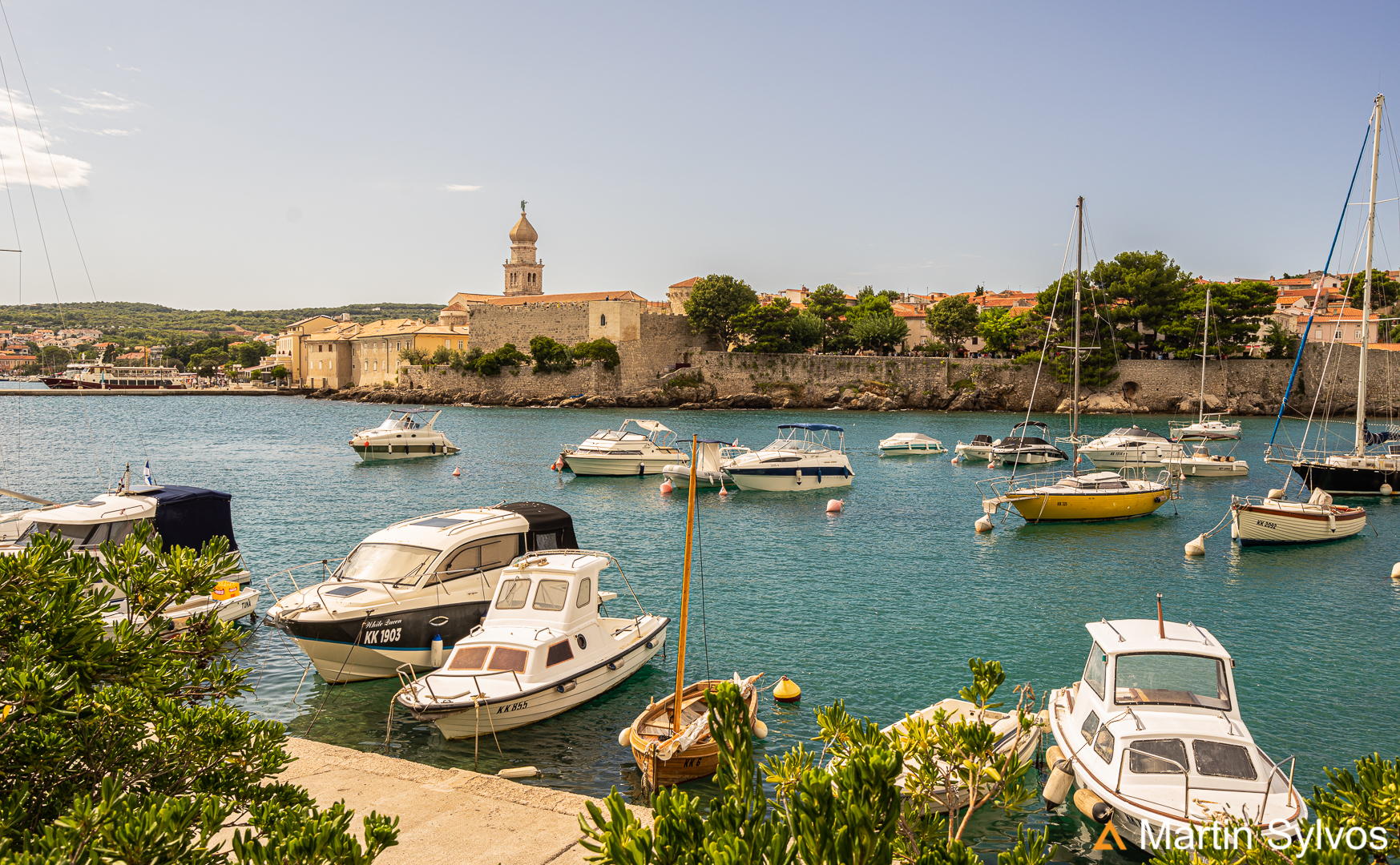 2021   Croatie   Martin sylvos